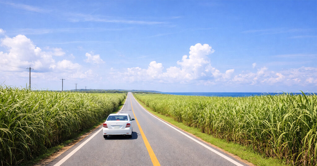 合宿免許とは？